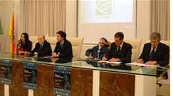 telethon_conf__stampa